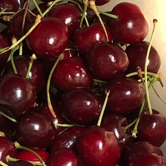 Meet your Posher, Taylor - Picture 1 of 1